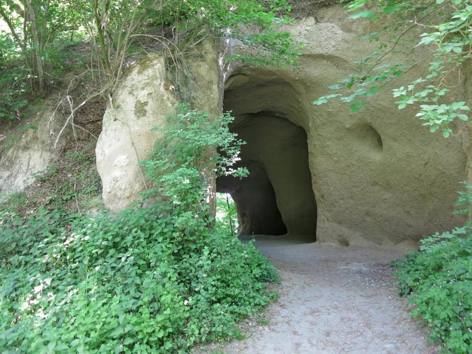 Kleines Glück Apartment Burgbrohl